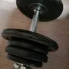 zottlbaer