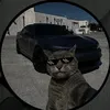itsmian376