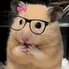 chwssrpie