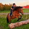 erkki_eq