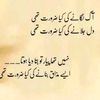 malik_ansar_saraki_110
