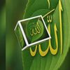 user79466193182185
