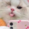 feby_4356