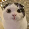 missyumi45