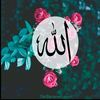 ahmed.ahmed18292