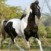 syed.waqas.shah33