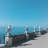vaioletcat