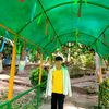 bijendra.rai95