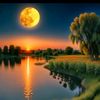 meryemhan591