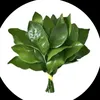 thnguyn463