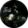 ex.faizann
