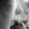🍁....ty