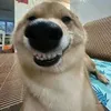heheeehe958