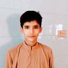mian222gb1