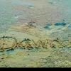 wan.agala