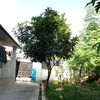 aasesharaj