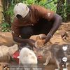 kevindogshelter2