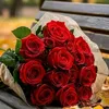 ahmadamir2279