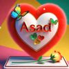 raja.asad368