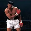 ali104600