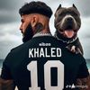 khaledtouaouza01