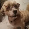 mariepkmgmail.com