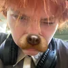 cryztvlpaincore