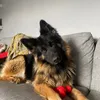 archiebobs21