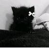 s0ixxosgoola