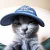 spoilkitty2