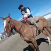 aron_rojas105