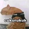 user235565577
