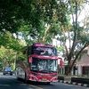iffat.rayhan_mania1