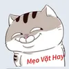 Mẹo Vặt Hay