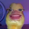 ynaxx