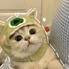 _noc_khue