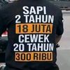 palak.lanjeng