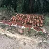 natalia.3432