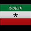 ahmedmohamout30