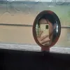 maimai_786