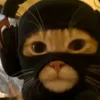 meow_0066