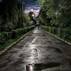 mohamad.mohamd561