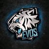 evosfams219