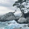 carolina_13083