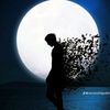 user70932105010312