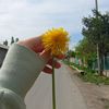 nyj0elit87nz