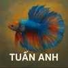 tun.anh.nguyn.vn674