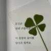 melonreview2