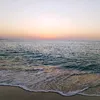 isabeloliveira8669