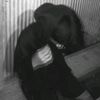 user48869063762526
